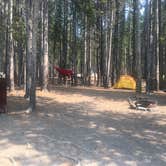 Review photo of Canyon Campground — Yellowstone National Park by Bryan P., September 3, 2021