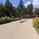 Review photo of Red Canyon Campground by Greg L., September 3, 2021