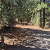 Review photo of Red Canyon Campground by Greg L., September 3, 2021