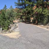 Review photo of Red Canyon Campground by Greg L., September 3, 2021