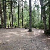 Review photo of Cobscook Bay State Park Campground by LoneCamper C., August 22, 2021
