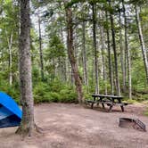 Review photo of Cobscook Bay State Park by LoneCamper C., August 22, 2021