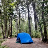 Review photo of Cobscook Bay State Park by LoneCamper C., August 22, 2021