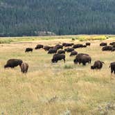 Review photo of Mammoth Campground — Yellowstone National Park by LoneCamper C., August 20, 2021