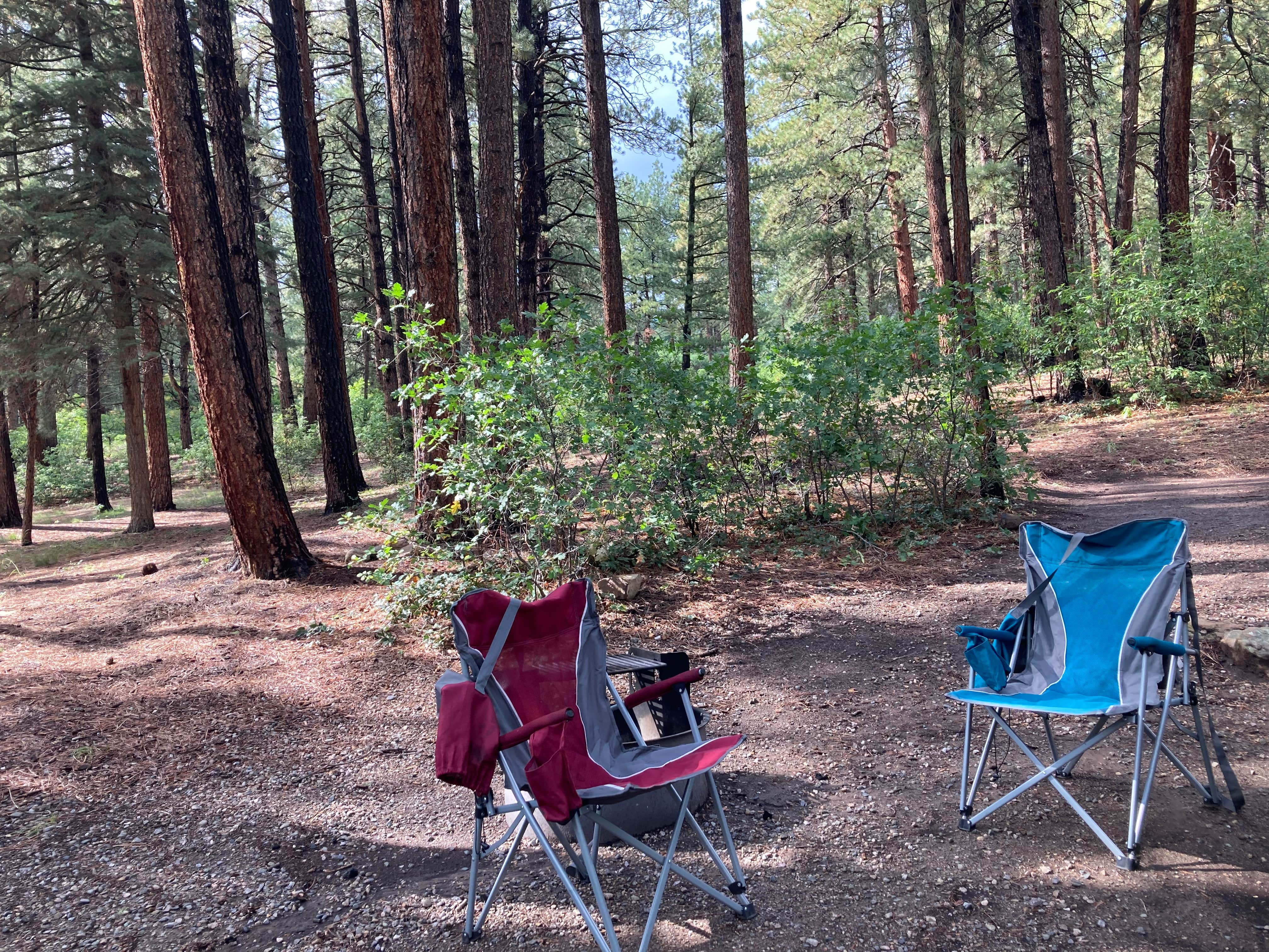 Best camping near Aztec, New Mexico The Dyrt