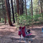 Review photo of Junction Creek Campground by Chris P., September 4, 2021