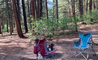 Chris P.'s photo at Junction Creek Campground near San Juan National Forest