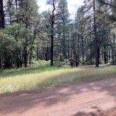 Review photo of Junction Creek Campground by Chris P., September 4, 2021