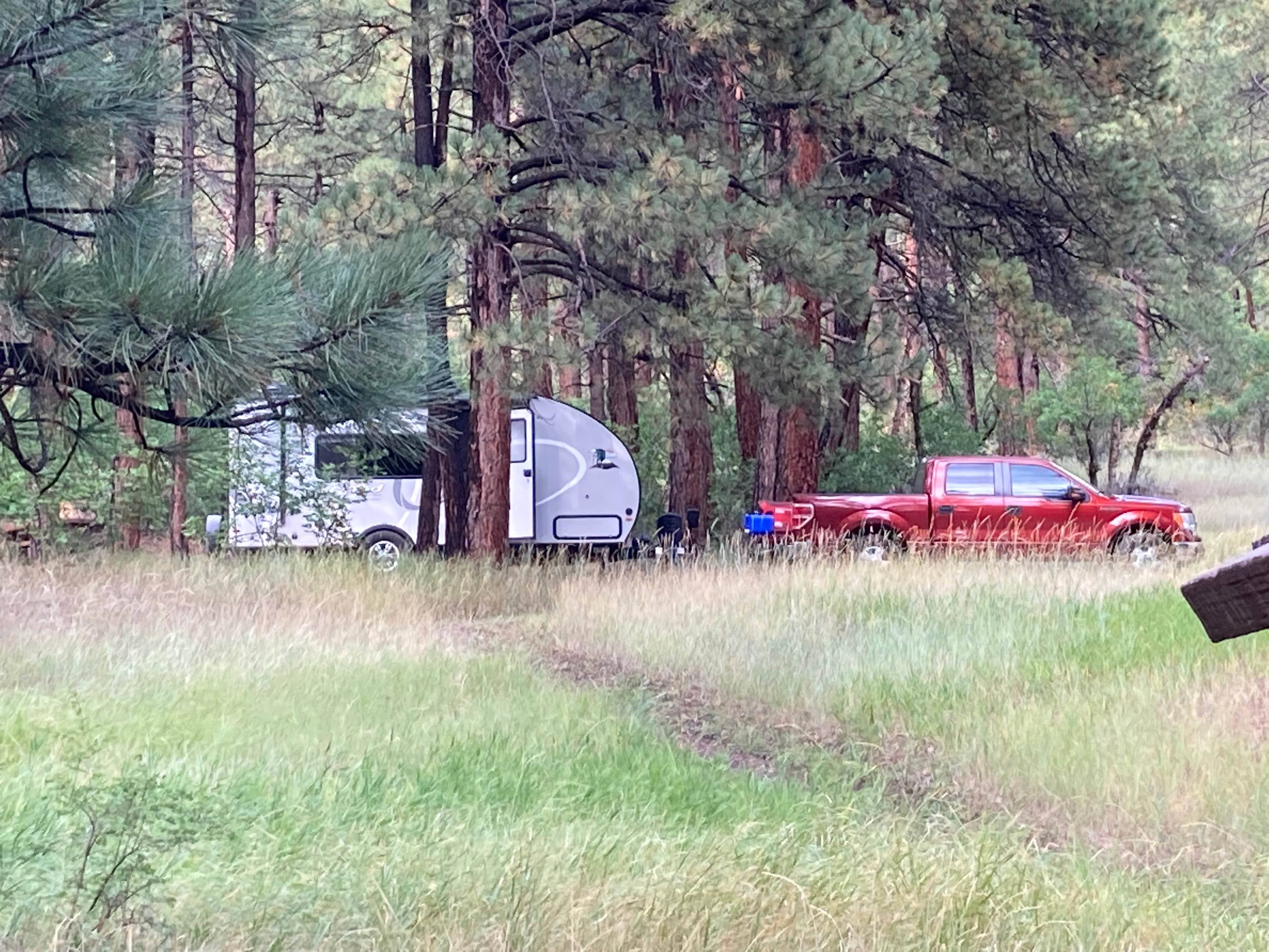 Chris P.'s photo at Junction Creek Campground near Durango, CO