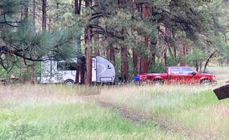 Chris P.'s photo at Junction Creek Campground near San Juan National Forest