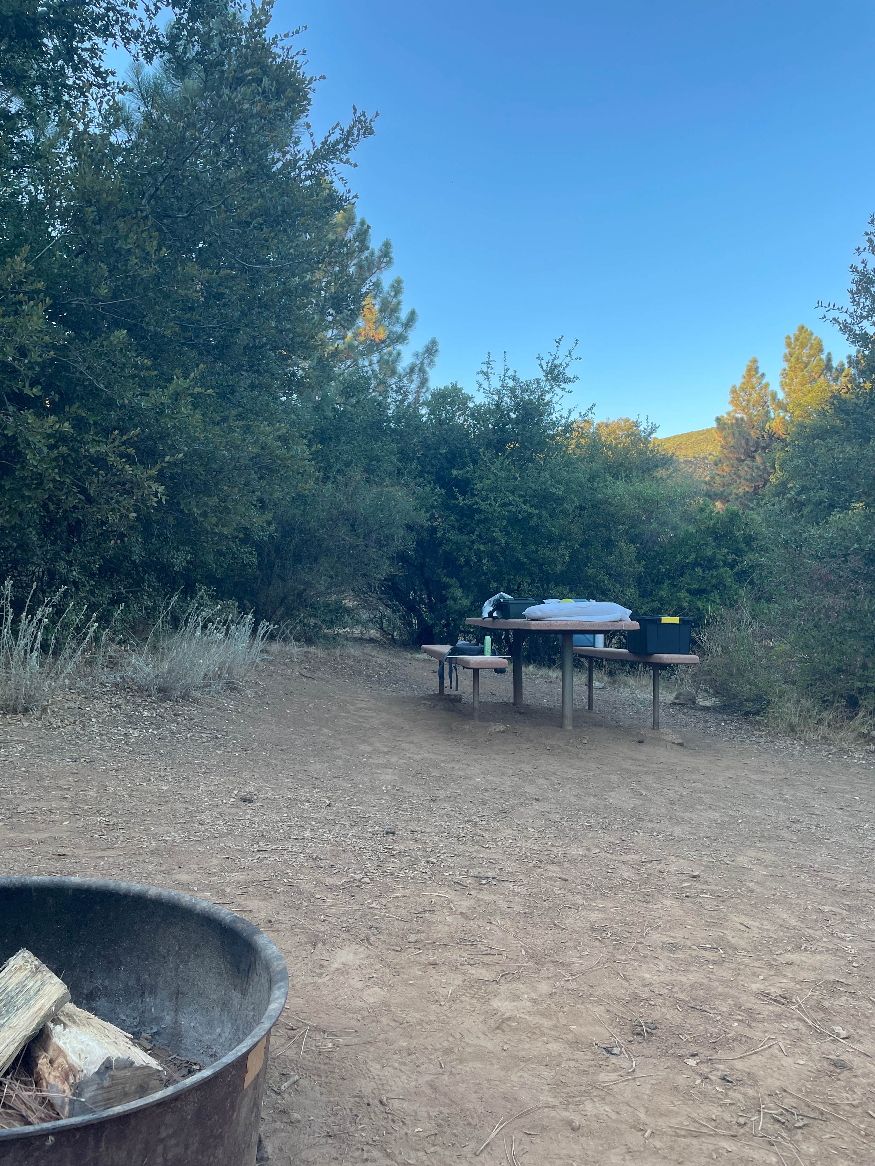 Alejandra E.'s photo at William Heise County Park near Julian, CA