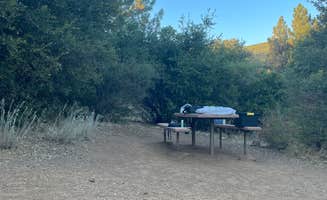 Alejandra E.'s photo at William Heise County Park near Julian, CA