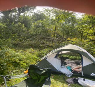 Camper-submitted photo from Cannon River Wilderness Area