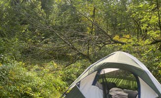 Nick G.'s photo of tent camping at Cannon River Wilderness Area near Woodbury, MN