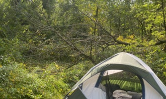 Camping near Prairie Woods Farm Vineyard Camp: Cannon River Wilderness Area, Faribault, Minnesota