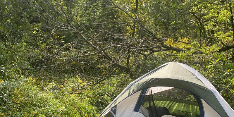 Camper submitted image from Cannon River Wilderness Area