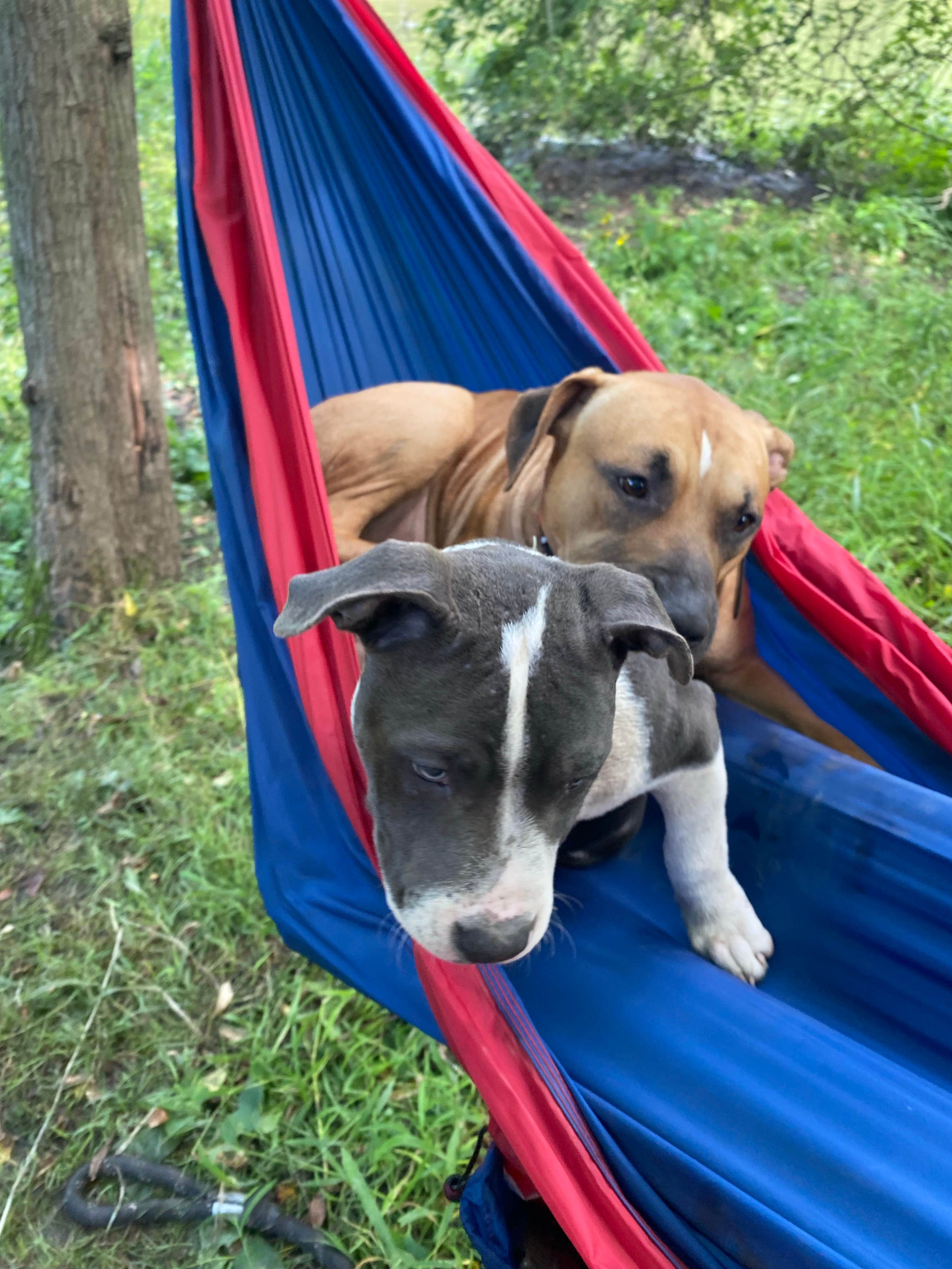 Camper-submitted photo at Cannon River Wilderness Area near Skyline, MN