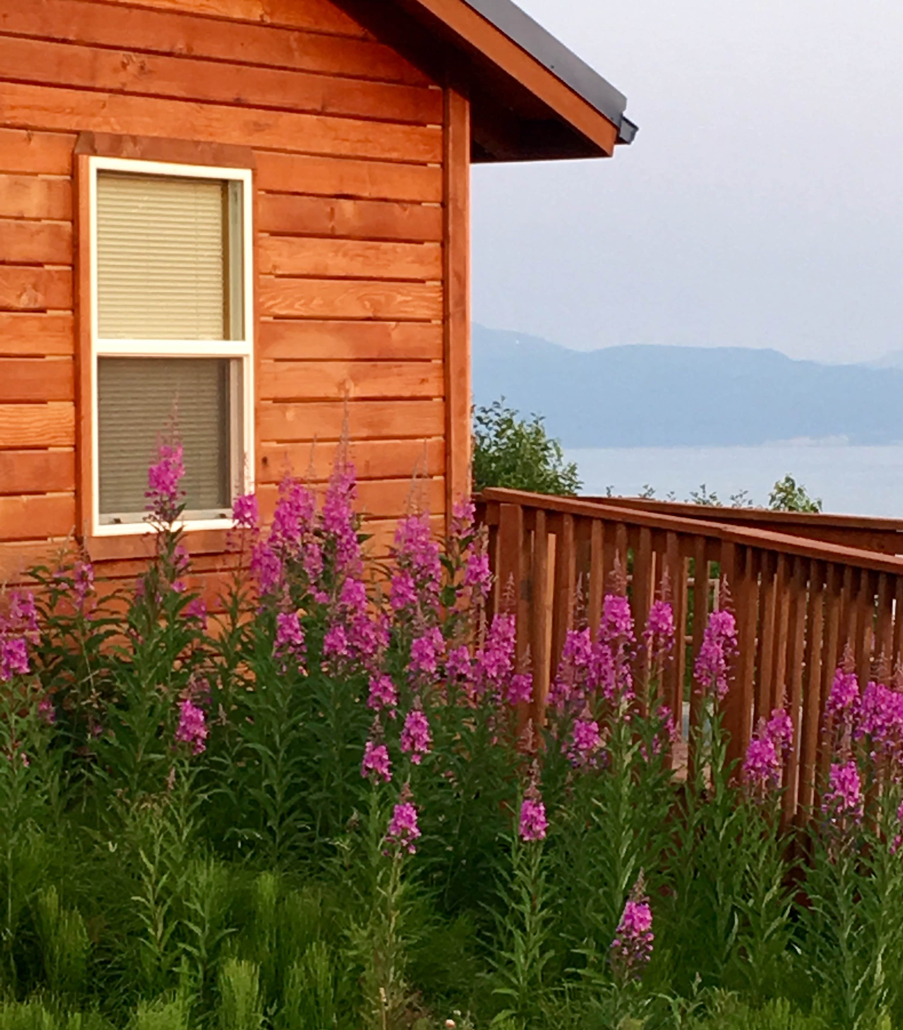 Camper-submitted photo at Baycrest RV Park near Kasilof, AK
