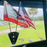 Review photo of Thousand Trails Orlando by Milagros B., September 4, 2021