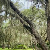 Review photo of Thousand Trails Orlando by Milagros B., September 4, 2021