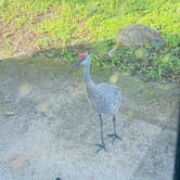 Review photo of Thousand Trails Orlando by Milagros B., September 4, 2021