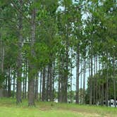 Review photo of Thousand Trails Orlando by Milagros B., September 4, 2021