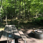 Review photo of Leelanau State Park Campground by alie P., September 4, 2021