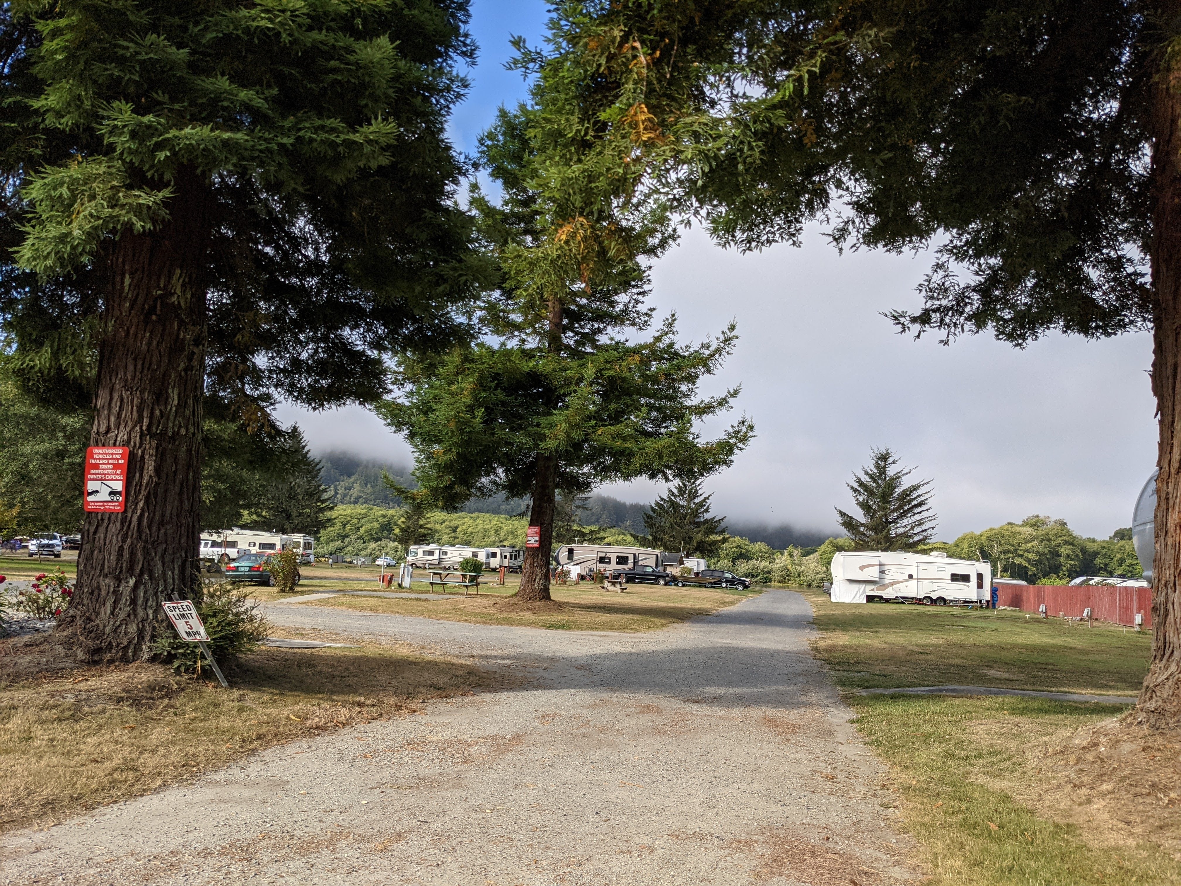 Camper submitted image from Riverside RV Park - 1