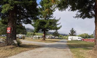 Camping near Elk Prairie Campground — Prairie Creek Redwoods State Park: Riverside RV Park, Klamath, California