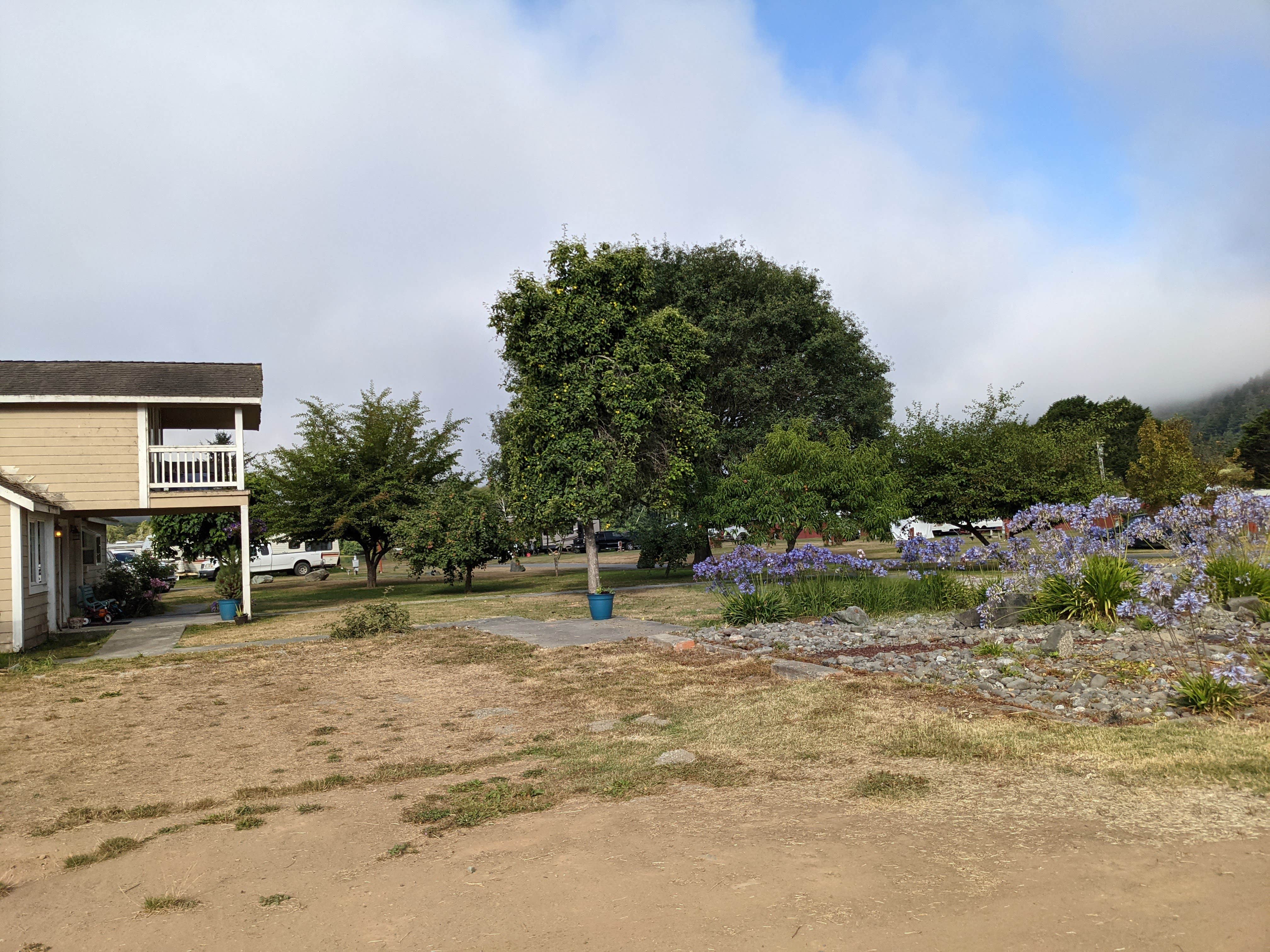 Camper-submitted photo at Riverside RV Park near Redwood National Park
