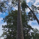 Review photo of Armadillo Campground - Beavers Bend State Park by Sydney M., September 4, 2021