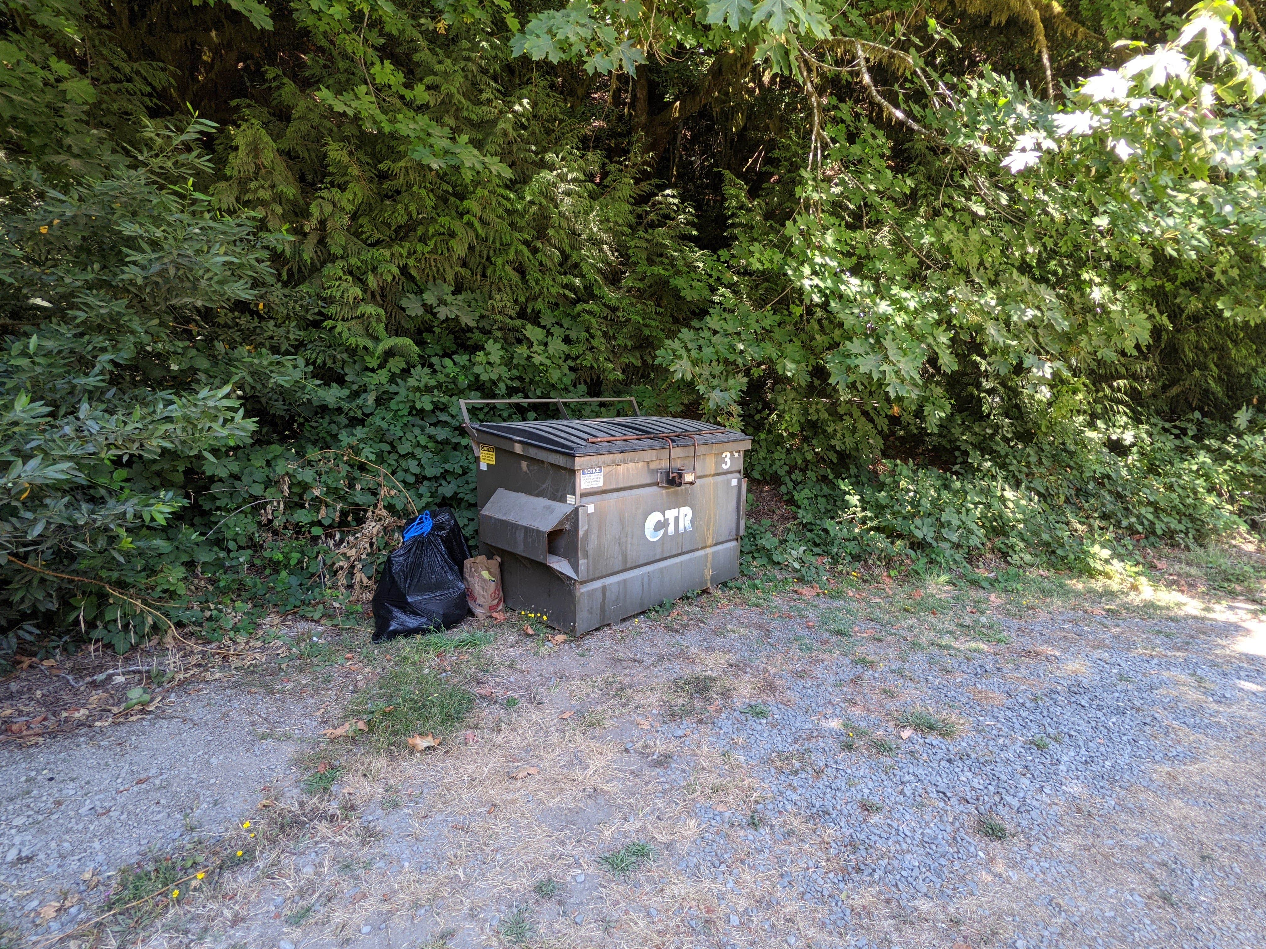 Camper submitted image from Leg Lake Campsites — Hiawatha National Forest - 3