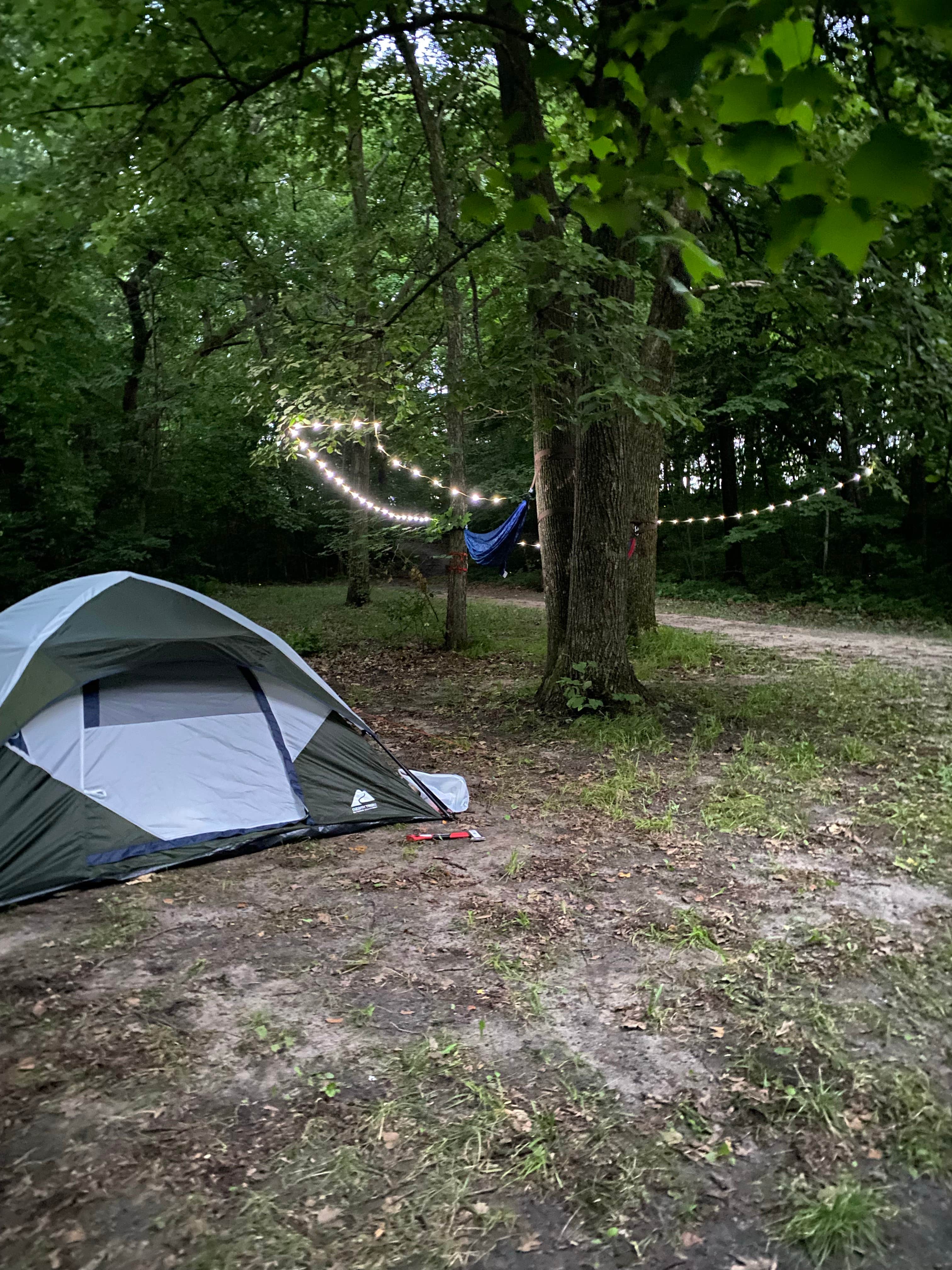 Camper submitted image from Rapidan Dam Co Park - 2