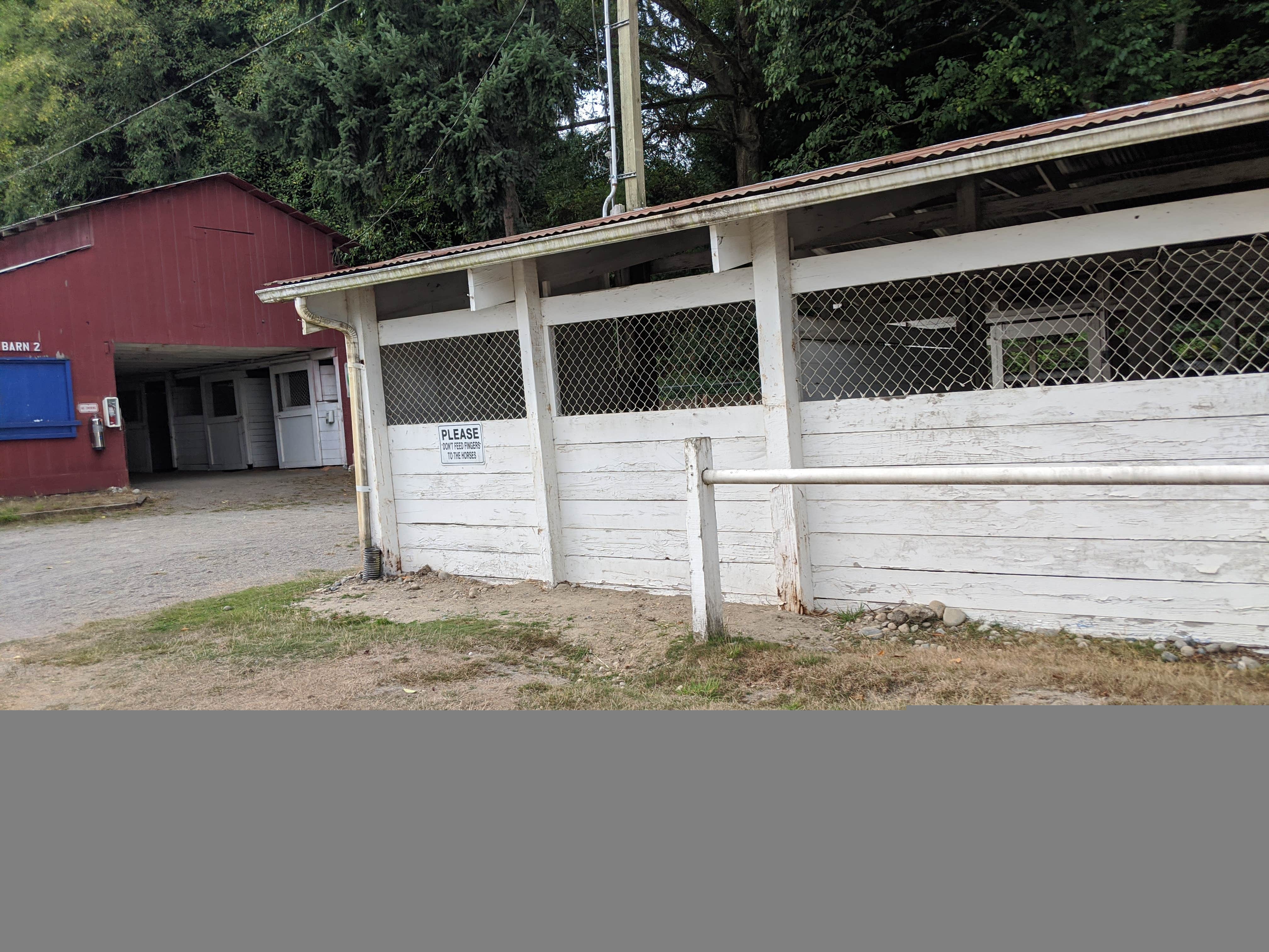 Camper submitted image from Whidbey Island Fairgrounds Campsite - TEMPORARILY CLOSED - 3