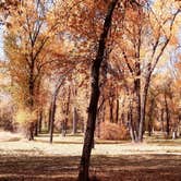 Review photo of Twin Bridges Park by Arlin , September 4, 2021