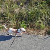 Review photo of Horseneck Beach State Reservation by Gillian G., September 4, 2021