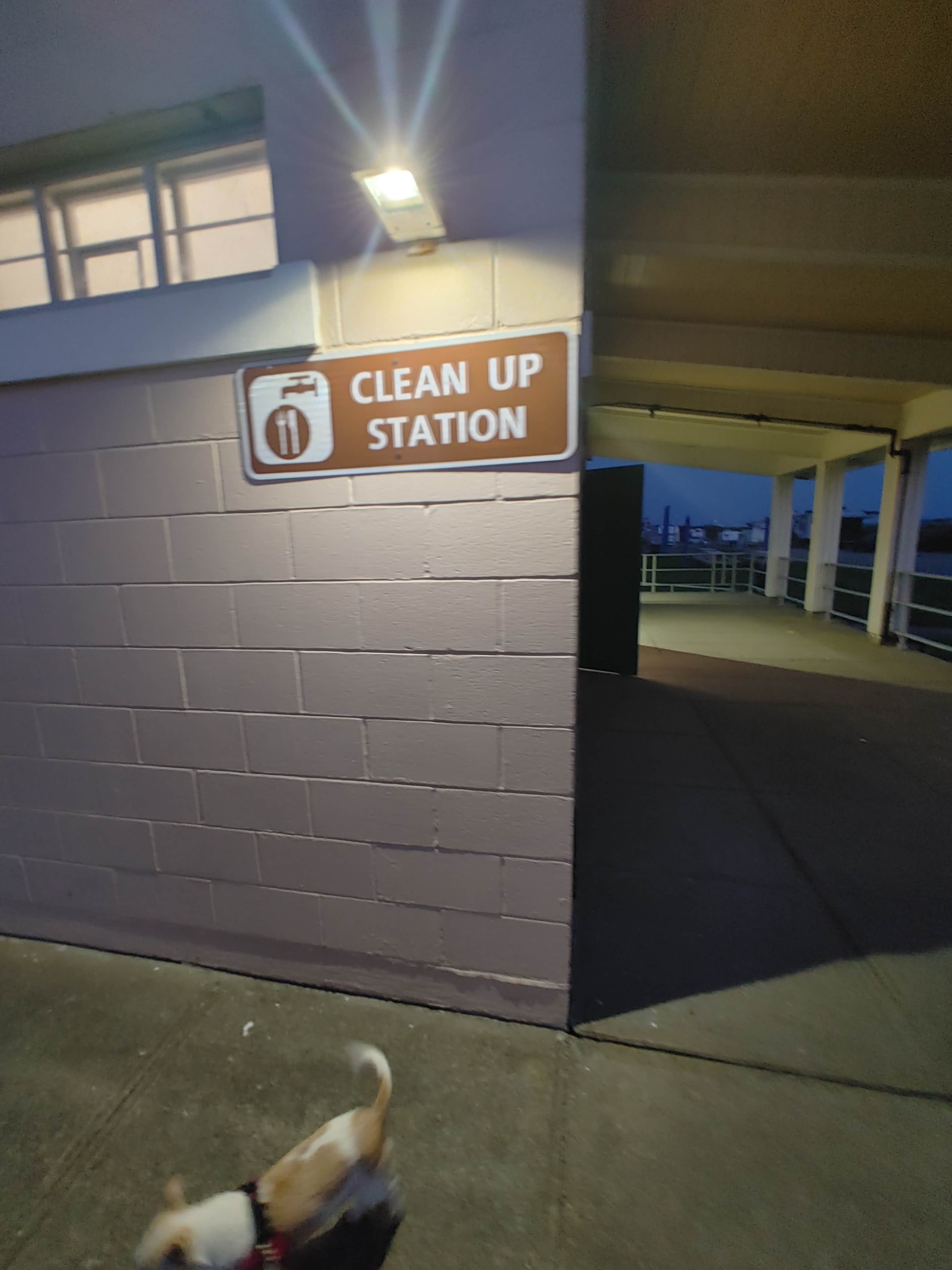 Gillian G.'s photo of camping with pets at Horseneck Beach State Reservation near Portsmouth, RI