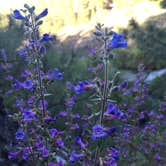 Review photo of Newberry National Volcanic Monument - Deschutes NF by Josh P., June 23, 2018