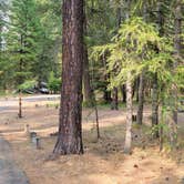 Review photo of Thompson Falls State Park Campground by Nancy C., September 4, 2021