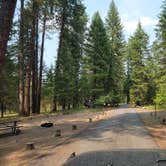 Review photo of Thompson Falls State Park Campground by Nancy C., September 4, 2021