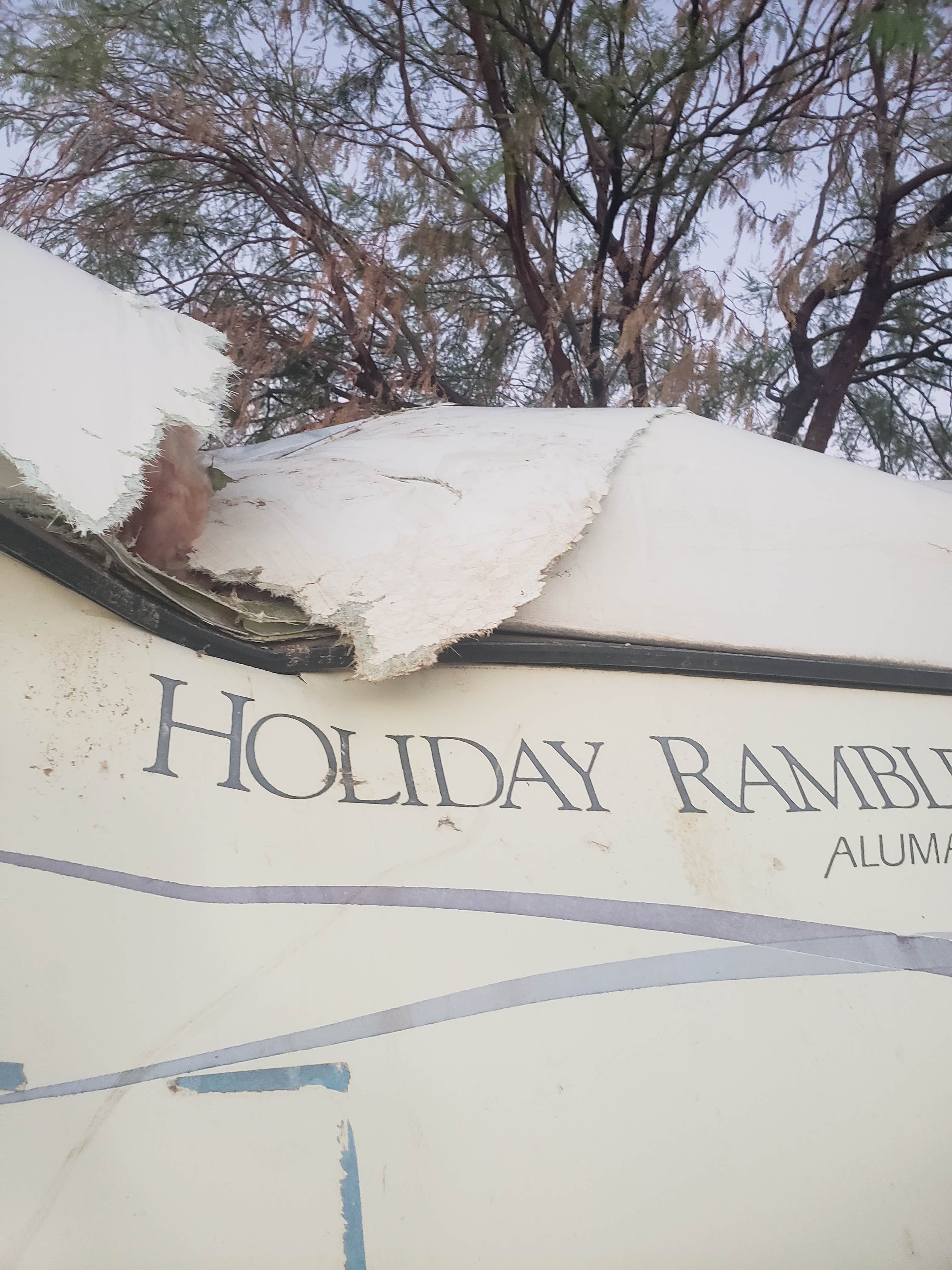 Camper-submitted photo at Oasis RV Park - Mesquite near Bunkerville, NV