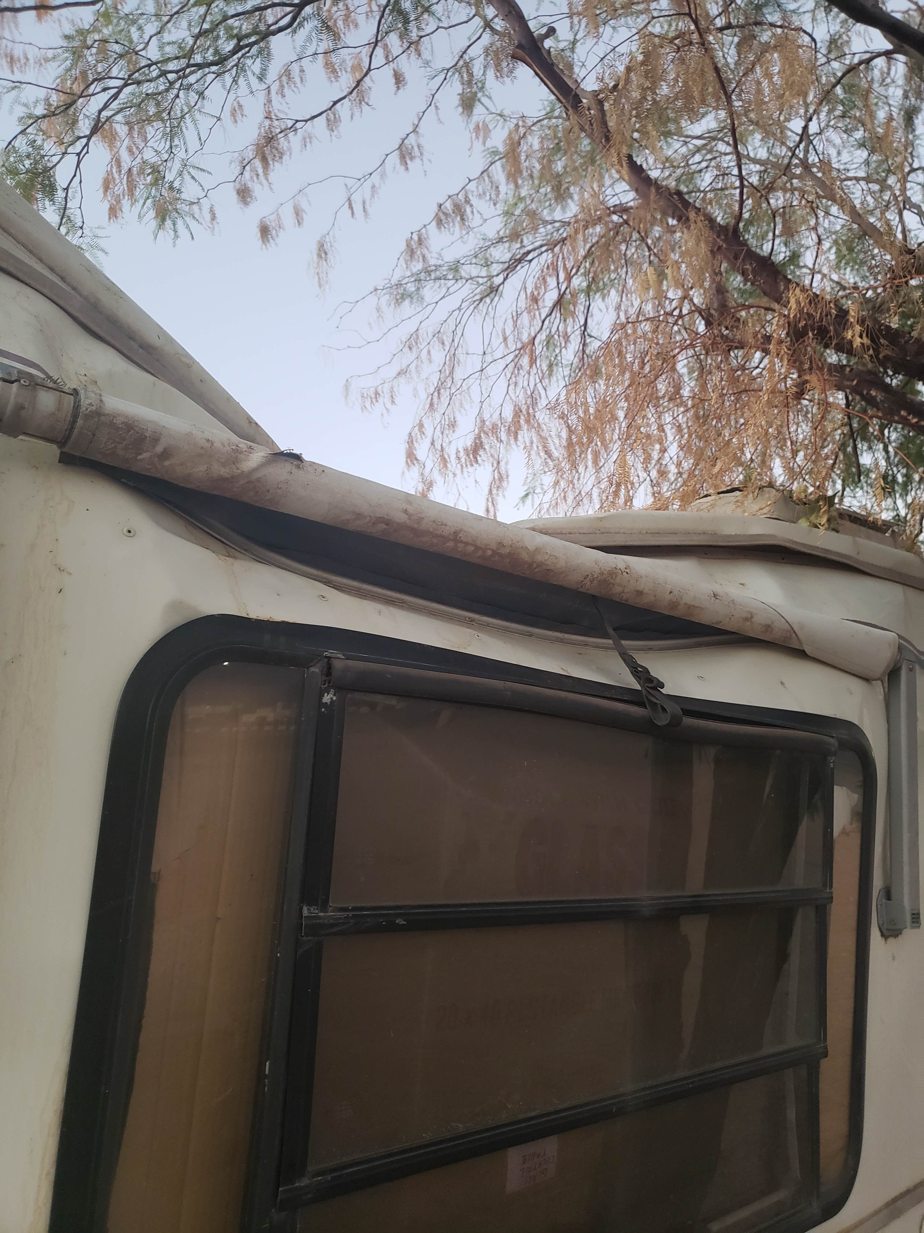 Camper-submitted photo at Oasis RV Park - Mesquite near Bunkerville, NV