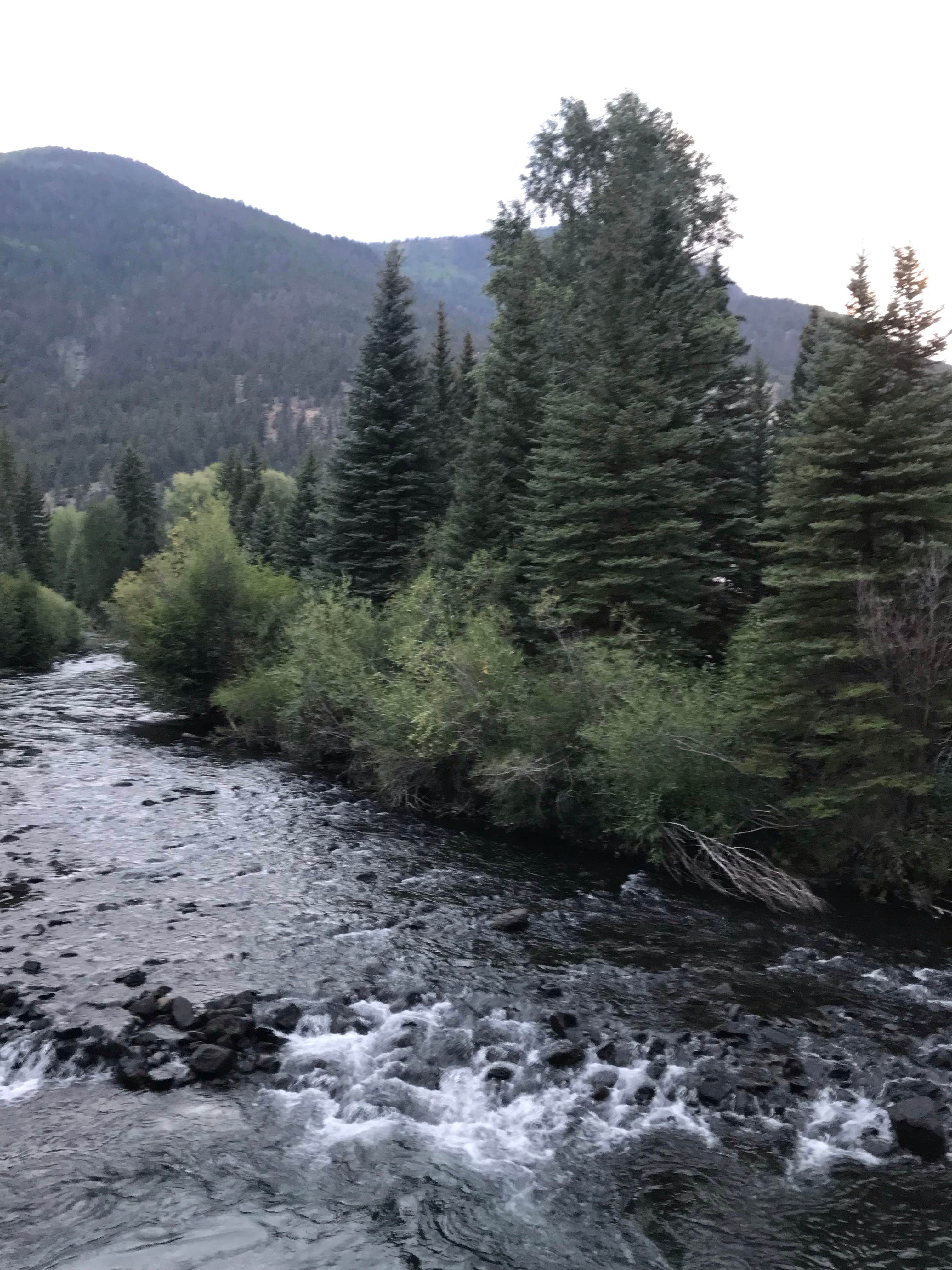 Camper-submitted photo at Woodlake Camper Park near Lake City, CO