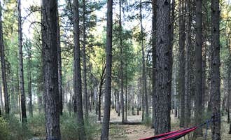 Camping near Cloverdale-Healdsburg KOA: Calso - Boggs Mountain Demo Forest - TEMPORARILY CLOSED, Cobb, California