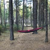 Review photo of Calso - Boggs Mountain Demo Forest - TEMPORARILY CLOSED by Twindaddy , September 5, 2021