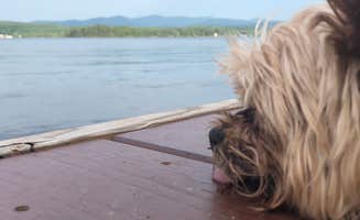 Jessica H.'s photo of camping with pets at Bomoseen State Park Campground in Vermont