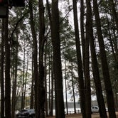 Review photo of Roosevelt State Park Campground by India J., June 23, 2018