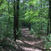 Review photo of McGinnis Lake Modern Campground — Holly Recreation Area by Christopher P., September 5, 2021