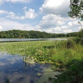 Review photo of McGinnis Lake Modern Campground — Holly Recreation Area by Christopher P., September 5, 2021