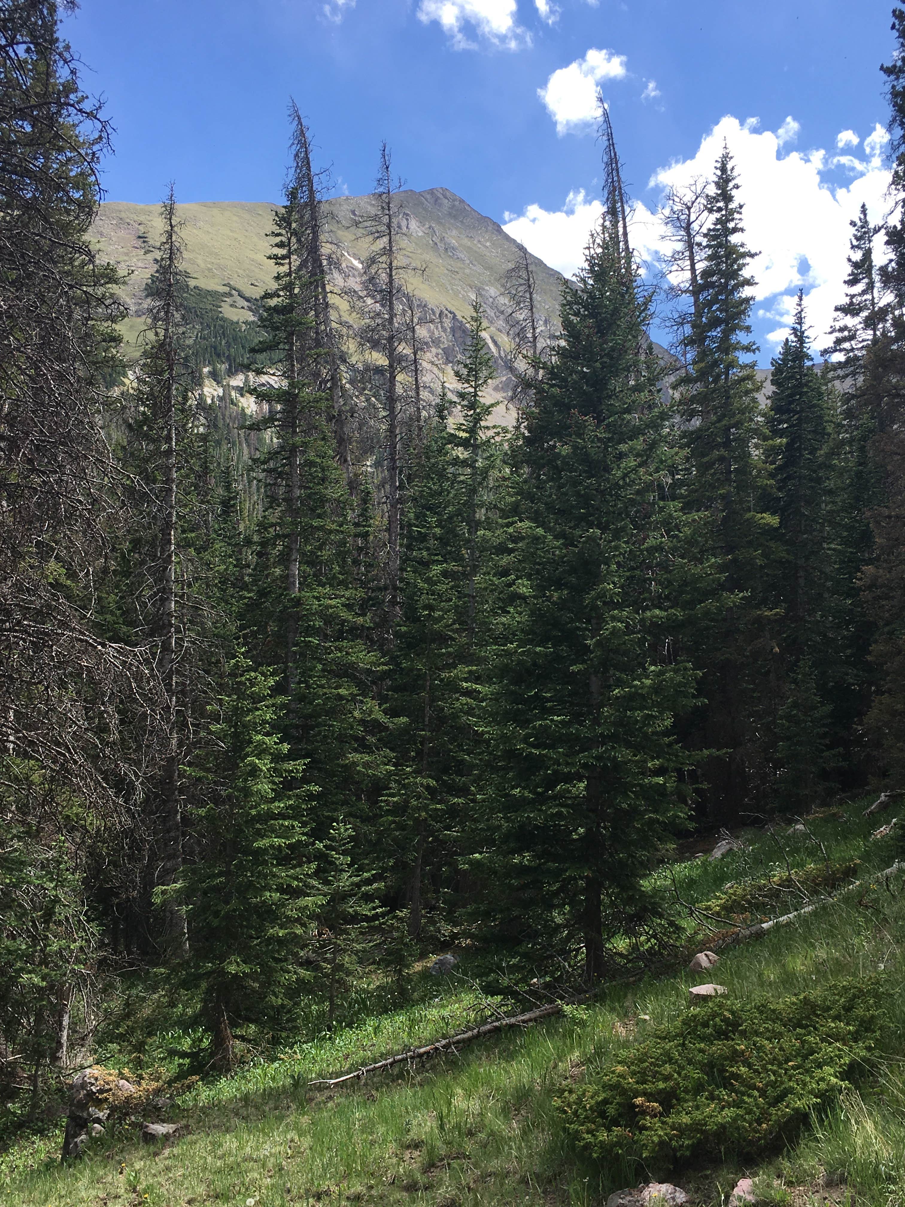 Camper-submitted photo at Great Sand Dunes Oasis near Mosca, CO